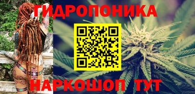 спиды Шебекино