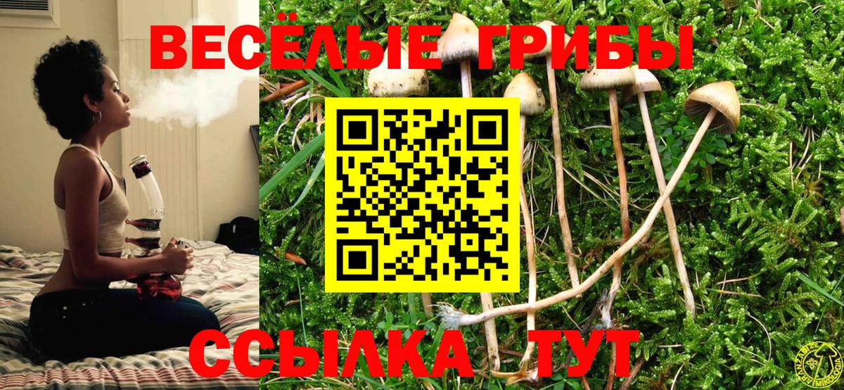 Псилоцибиновые грибы MAGIC MUSHROOMS Кудрово